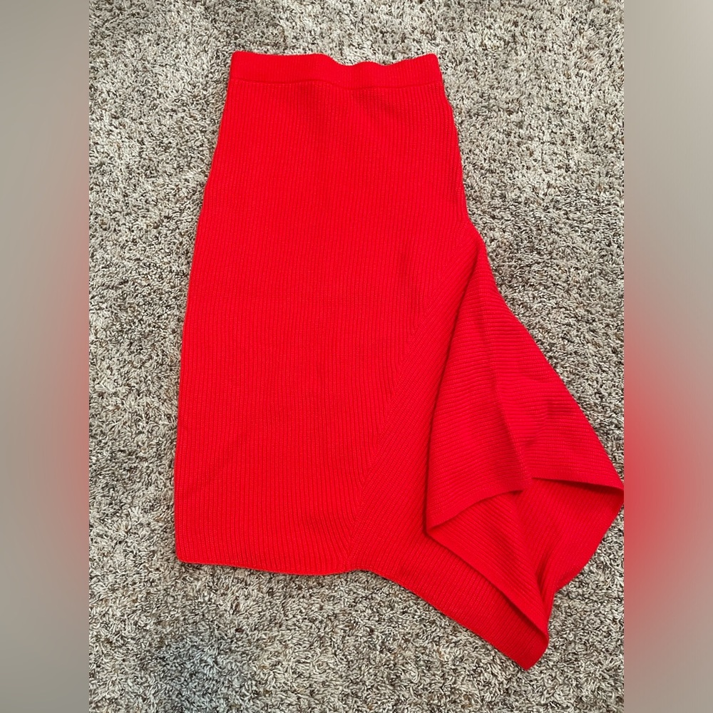 Sofia Vergara Sweater Skirt